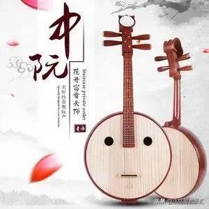 十大乐器排行榜二胡(重庆乐器店二胡价格)插图8