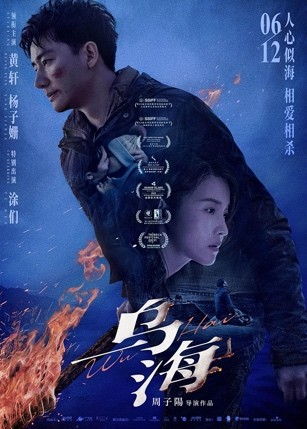 动作、文艺、时代旋律，这个暑期档里总有你的款(新年文艺愿望)插图6