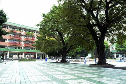 重点海事学校排名前十(中国四大海事大学)插图7