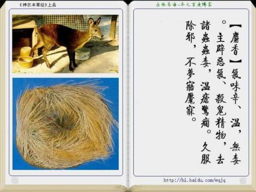 本草纲目中药大全(12000种中草药大全)插图5