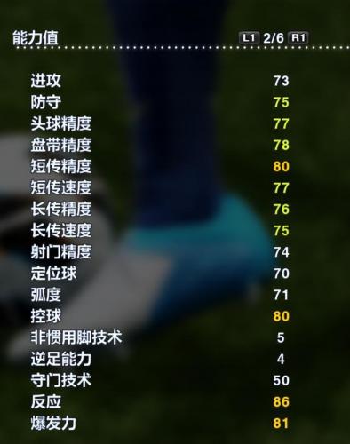 实况2013最强阵容(实况足球2013无敌阵型)插图16