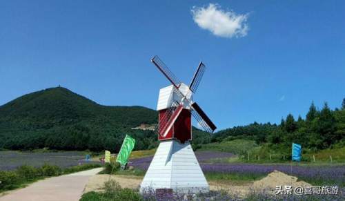 抚顺清远酒店排名前十(抚顺市顺城区酒店)插图6