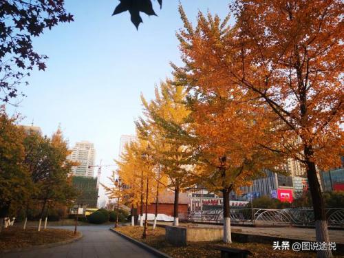鞍山站前(鞍山站到鞍山西站多远)插图12