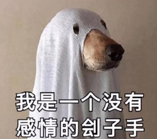 狗名字排行榜(狗狗名字霸气独特)插图4