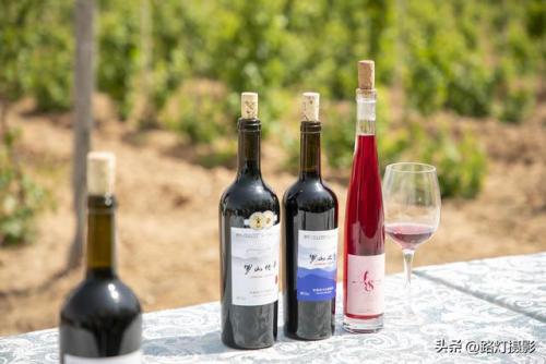 白酒酒庄排名前十(五大顶级酒庄)插图18