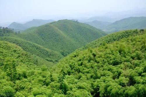 浙江好玩地方排行榜(浙江旅游必去十大景点)插图28