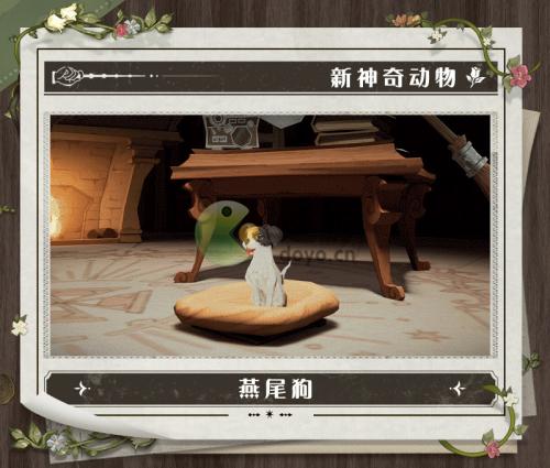哈利波特魔法觉醒布艺时光怎么获得(哈利波特魔法觉醒公测)插图1