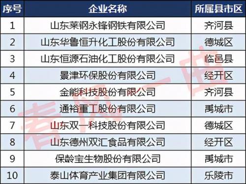 德州蛋白企业排名前十(德州公司排名)插图3