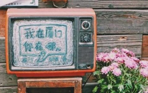 厦门旅行社排行榜(厦门比较知名正规的旅行社有哪些)
