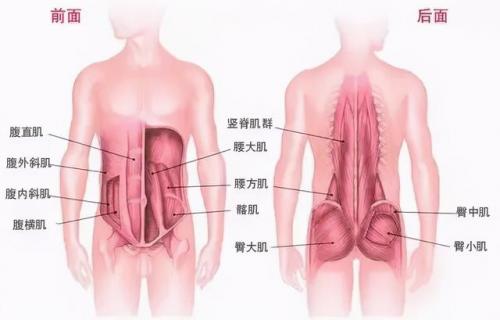 女版街头霸王(街头霸王所有女性角色介绍)插图11