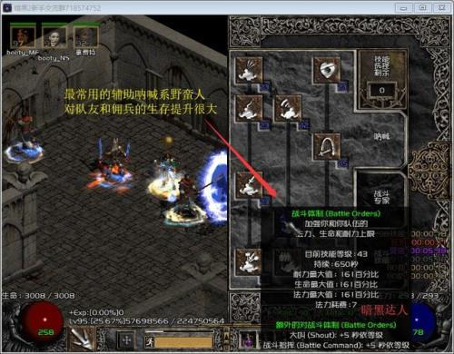 暗黑之血2加点(暗黑破坏神2人物加点)插图2