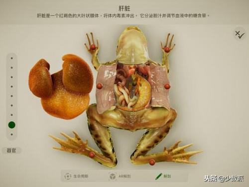苹果试玩排行榜(苹果挣钱软件排名第一)插图3