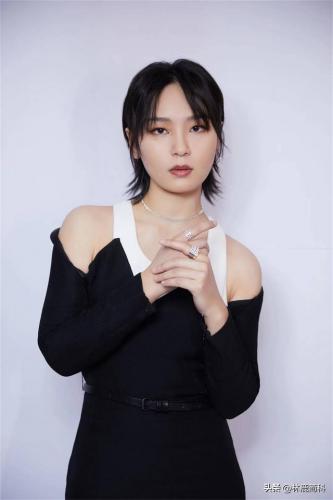 超级女生排行榜(超女最成功的是谁)插图9