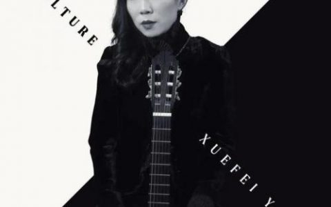 古典吉他大师(中国著名的女吉他演奏家)