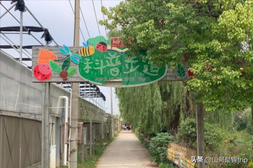 排名前十的亲子农庄(江浙一带农家乐排名)插图13