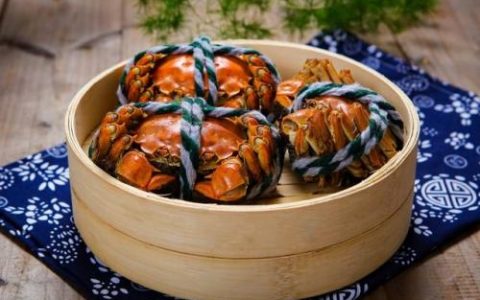 新沂城关饭店排名前十(新沂特色饭店推荐)