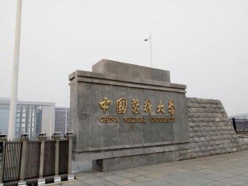 沈阳学校排行榜(沈阳技校有哪些学校)插图3