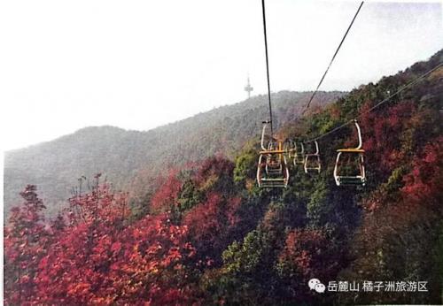 长沙最高索道排名前十(长沙岳麓山缆车开放时间)插图7
