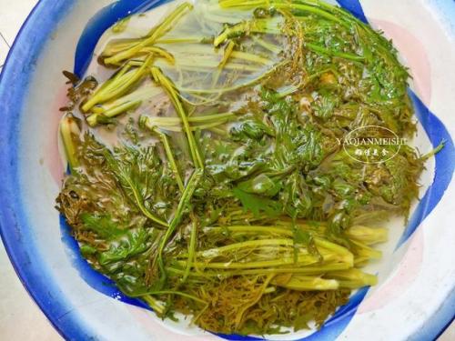 中老年钙片排行榜(50至60岁吃的钙片推荐)插图8