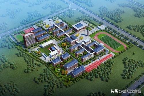 岳阳学校面积排名前十(岳阳小学四大名校)插图5