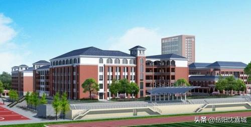 岳阳学校面积排名前十(岳阳小学四大名校)插图6