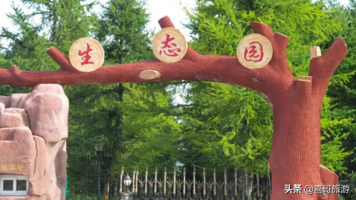 塔城景点排行榜(新疆塔城最美旅游景点)插图2
