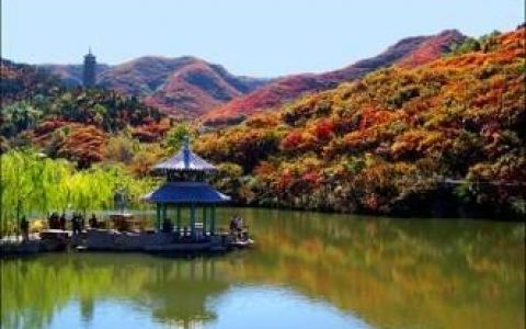 济南吃喝玩乐网(什么网吃喝玩乐最优惠)