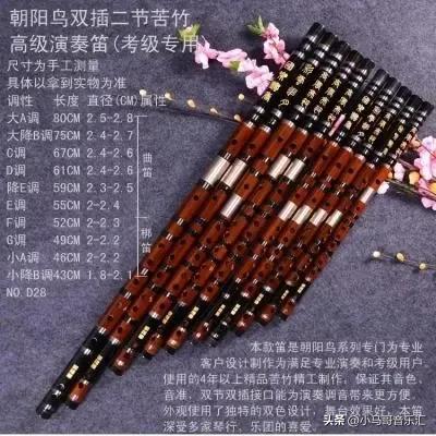 十大乐器排行榜二胡(重庆乐器店二胡价格)插图6