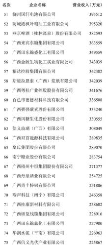 广西企业排行榜(广西本土企业)插图6