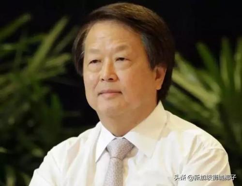 新加坡年度商人排名前十(新加坡年度汉字)插图28