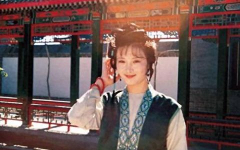 红楼梦十大丫鬟排行榜(红楼梦丫鬟实力排名)