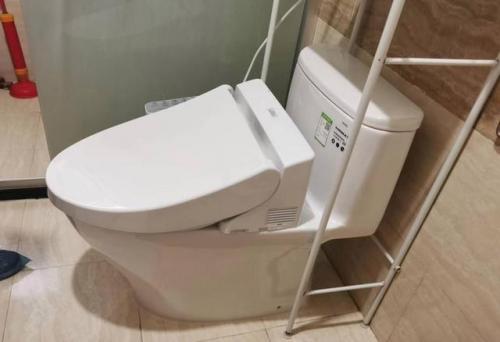 智能座便器排行榜(十大智能坐便品牌)插图13