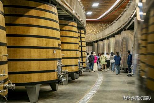 白酒酒庄排名前十(五大顶级酒庄)插图8