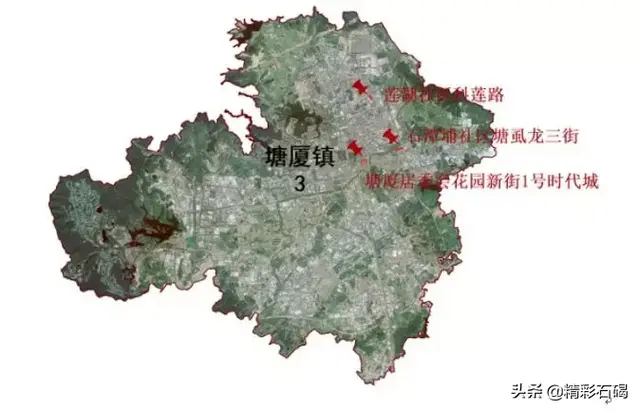 东莞孝感餐厅排名前十(东莞最好的自助餐排名)插图7