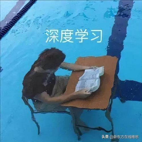 英语语法书权威排行榜(国内最好的英语语法书)插图12