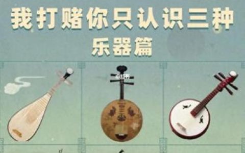 十大乐器排行榜二胡(重庆乐器店二胡价格)