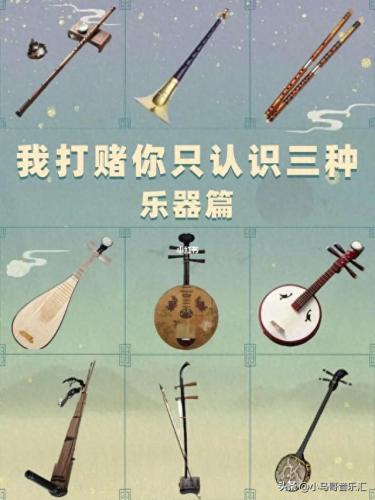 十大乐器排行榜二胡(重庆乐器店二胡价格)插图