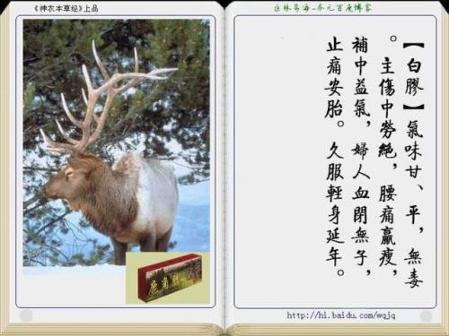 本草纲目中药大全(12000种中草药大全)插图22
