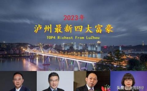 泸州富豪排行榜(泸州首富杨洪刚)