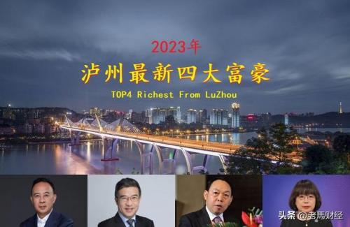 泸州富豪排行榜(泸州首富杨洪刚)插图