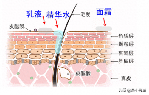 十大祛皱精华排行榜最新(十大熬夜必备精华)插图