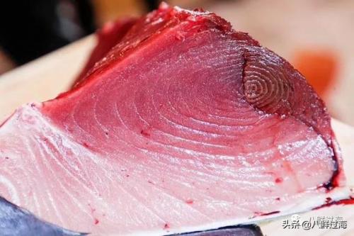 世界海鲜世家排名前十(大洋世家海鲜餐厅怎么样)插图17