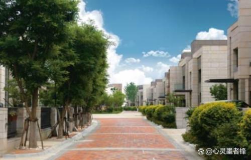 辽宁超级豪宅排名前十(上海十大豪宅排名)插图8
