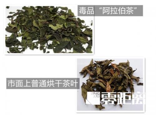 果冻是什么意思什么服务(果冻不错啥意思)插图3