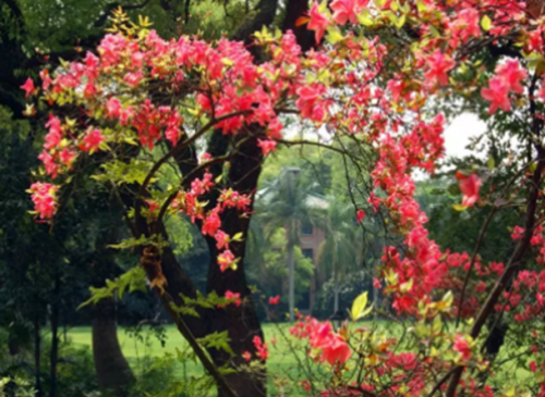 高校校花排行榜图片(全国高校女神排行榜)插图39