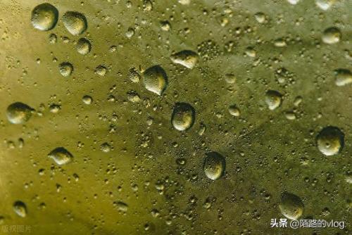 室外防水十大品牌排行榜(室外防水选哪个品牌)插图2