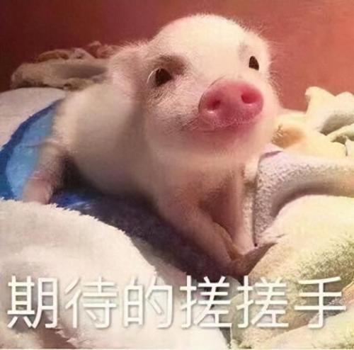 国内最火的手游排行榜(最火的手游2020排行前10名)插图