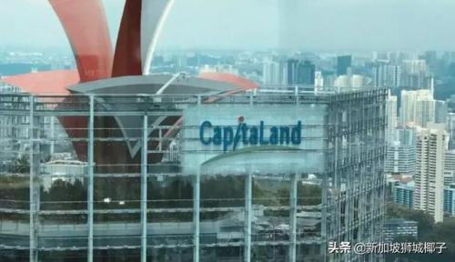 新加坡年度商人排名前十(新加坡年度汉字)插图31