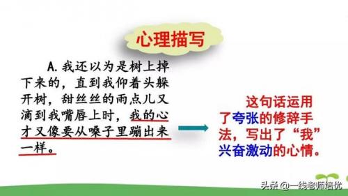 了望的读音(望是多音字吗)插图37