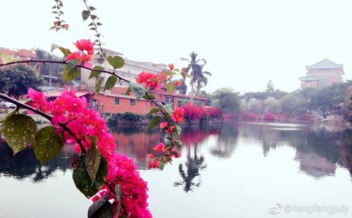 高校校花排行榜图片(全国高校女神排行榜)插图27